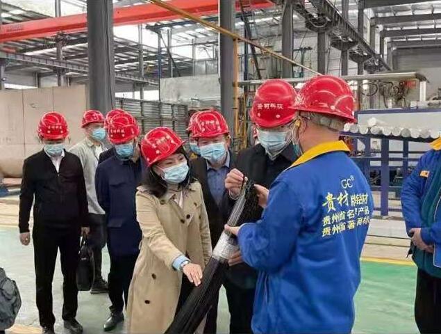 貴陽市常委、市工商聯(lián)、廣東總商會一行到我廠調(diào)研